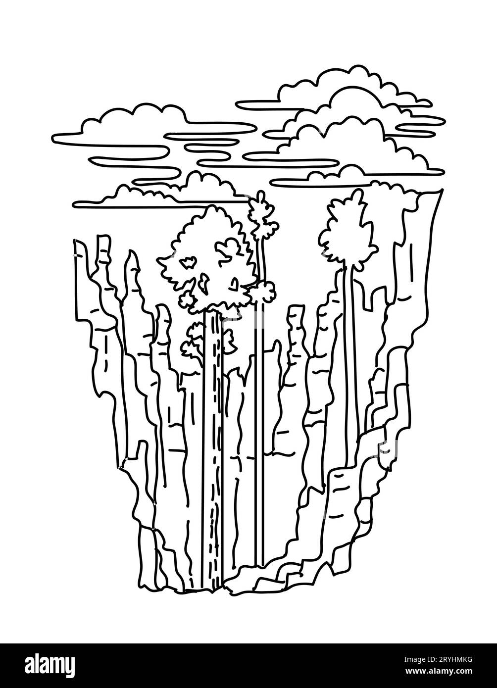 Douglas Fir et Hoodoos dans le parc national de Bryce Canyon Utah Monoline Line dessin artistique Banque D'Images