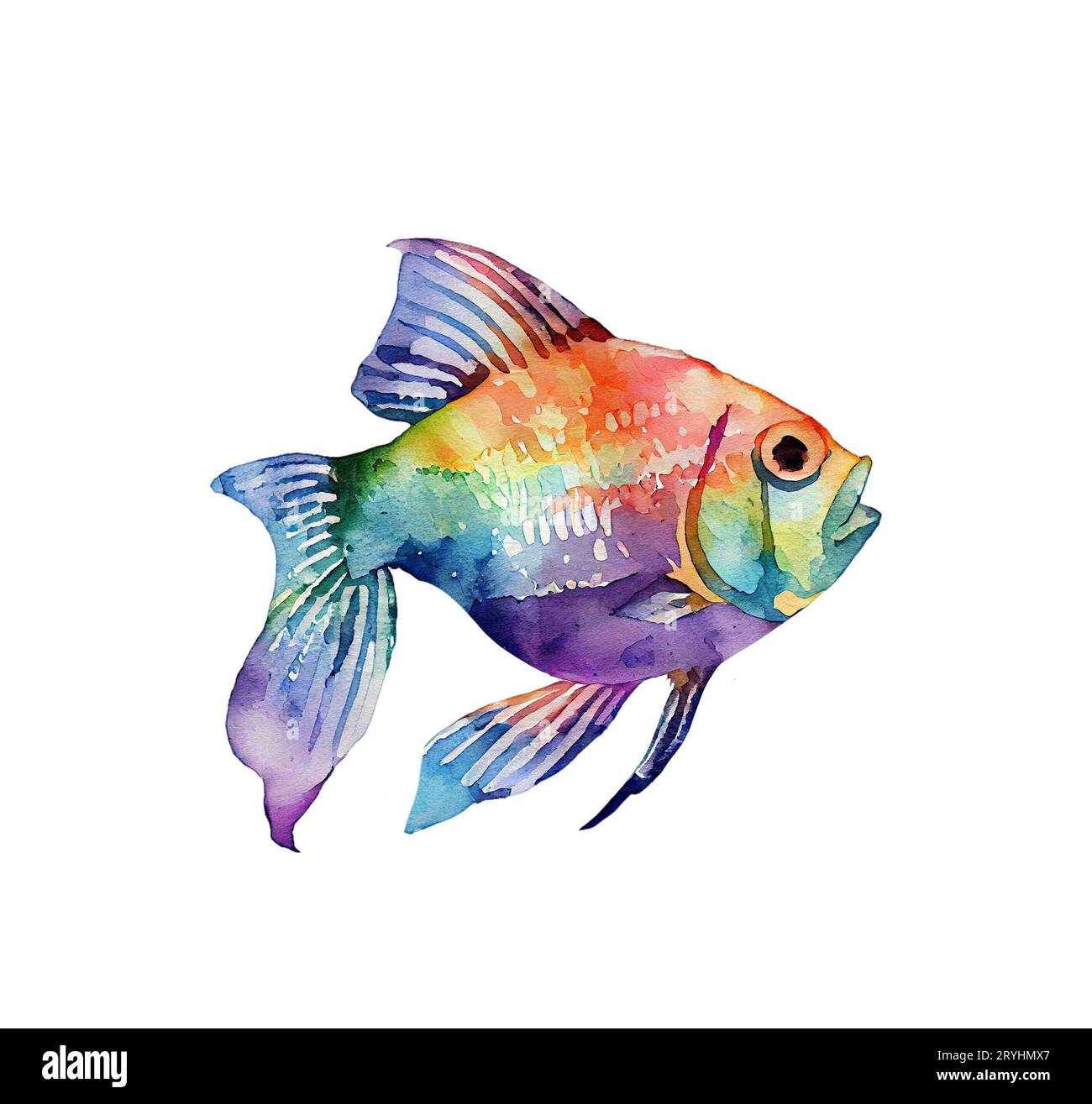 Illustration de poissons aquarelle. Poisson koi dessiné à la main Banque D'Images