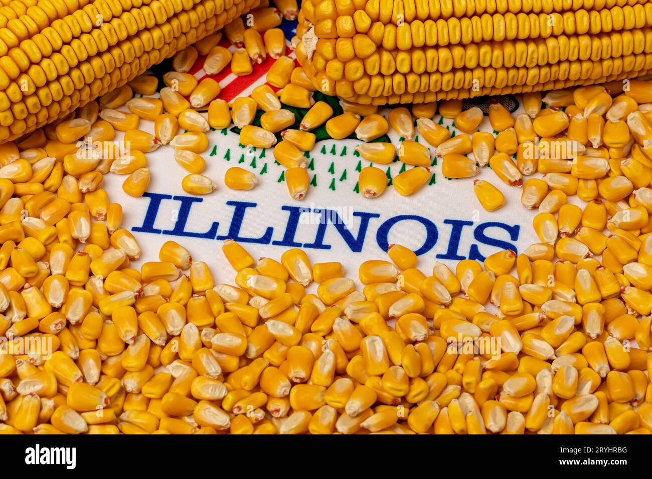 Drapeau de l'Illinois recouvert de grains de maïs. Agriculture, agriculture et éthanol concept Banque D'Images