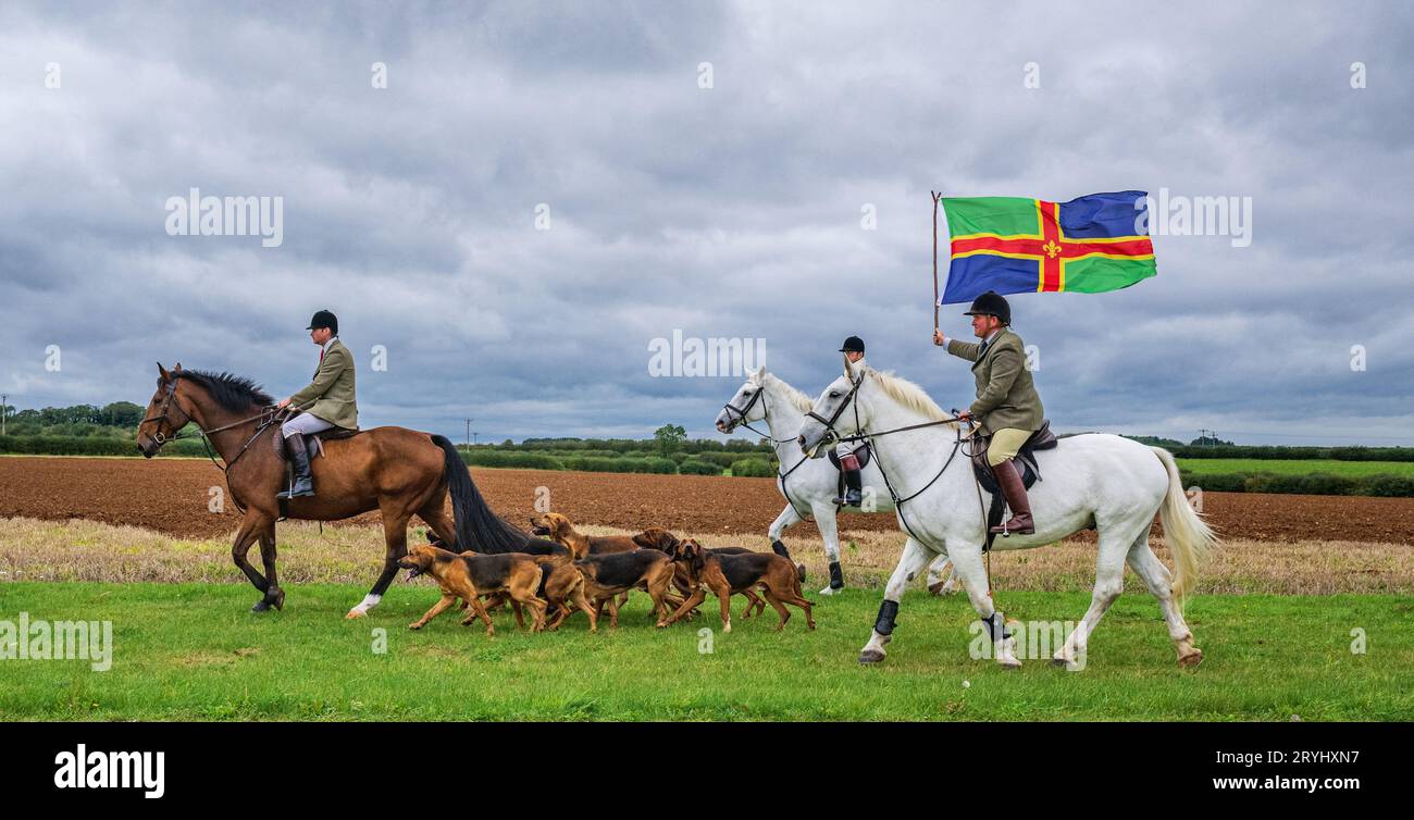 Temple Bruer, Lincoln, Lincolnshire, Royaume-Uni. 1 octobre 2023. BEN WILLS, comaître, mène les Bloodhounds de Cranwell lors de leur première rencontre d'entraînement de la saison. Il porte fièrement le drapeau du Lincolnshire le jour du Lincolnshire (1 octobre). Cette meute de chiens de sang basée dans le Lincolnshire poursuit un coureur de cross-country lors de leurs rencontres du dimanche. Banque D'Images