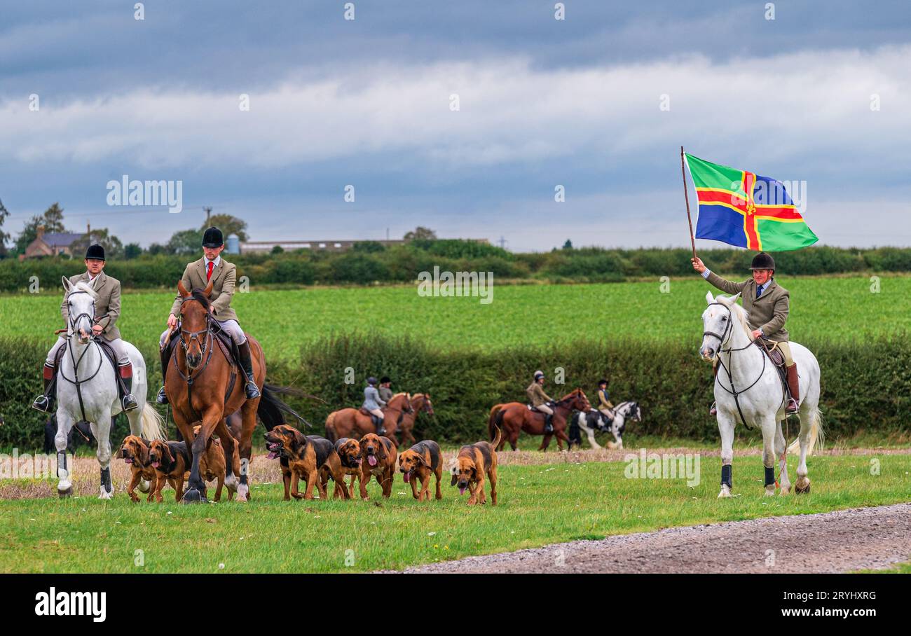 Temple Bruer, Lincoln, Lincolnshire, Royaume-Uni. 1 octobre 2023. BEN WILLS, comaître, mène les Bloodhounds de Cranwell lors de leur première rencontre d'entraînement de la saison. Il porte fièrement le drapeau du Lincolnshire le jour du Lincolnshire (1 octobre). Cette meute de chiens de sang basée dans le Lincolnshire poursuit un coureur de cross-country lors de leurs rencontres du dimanche. Banque D'Images