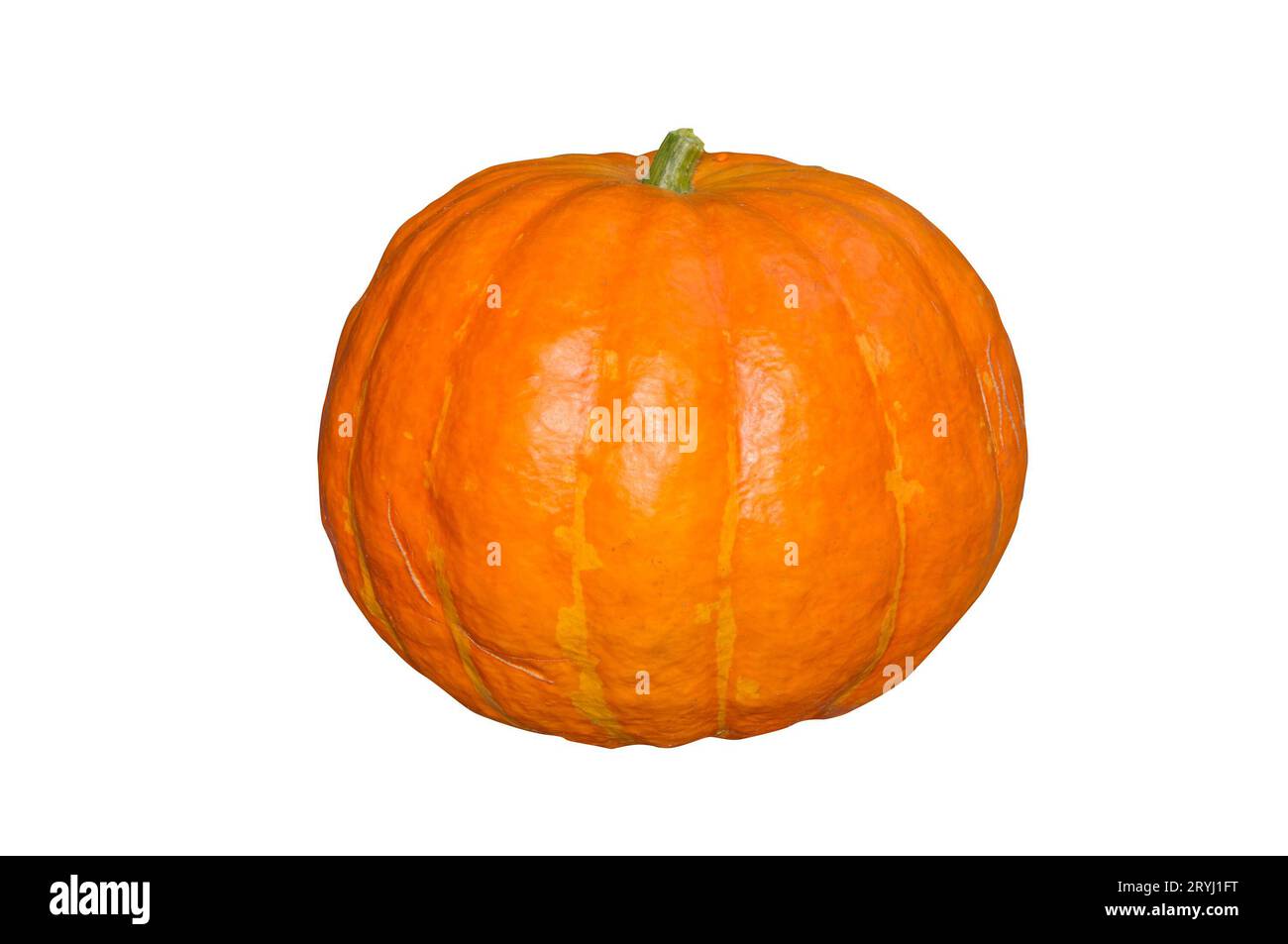 Citrouille сlose-up isolé sur fond blanc Banque D'Images