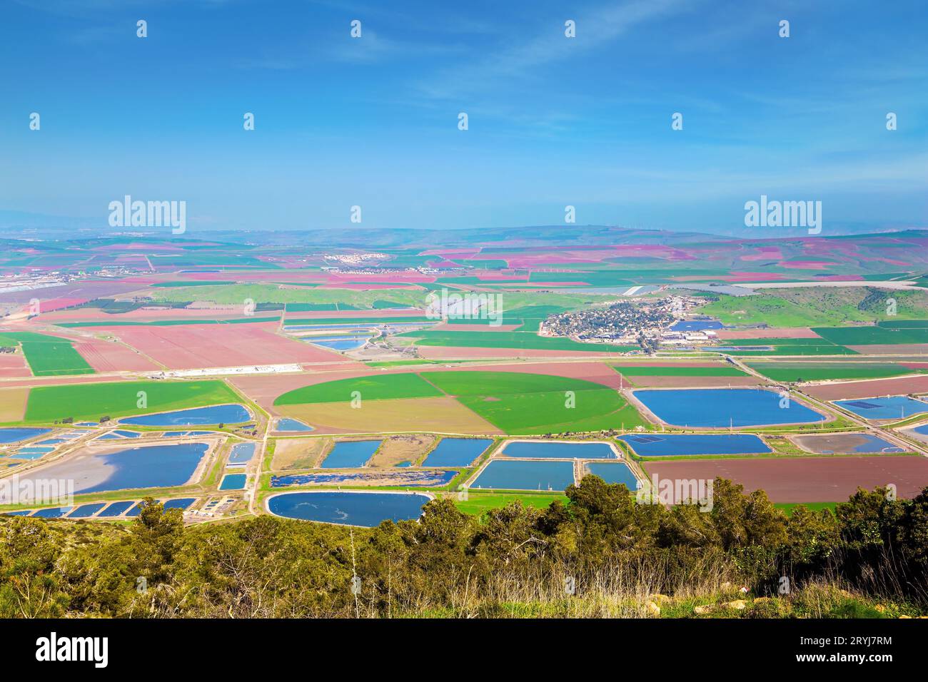 Champs pittoresques Banque D'Images