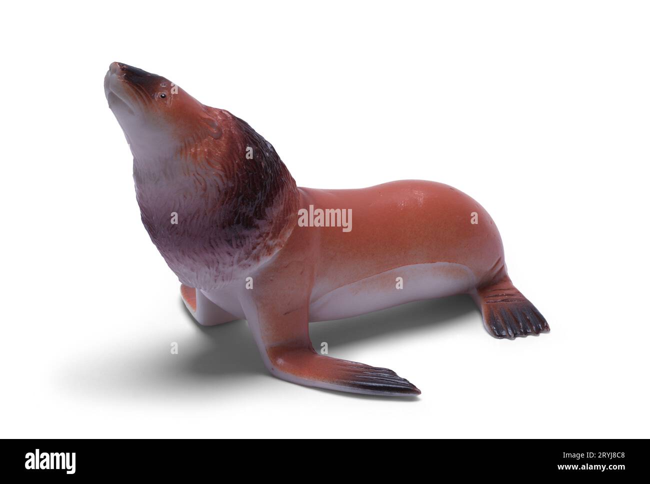 Sealion Plastic Toy découpé sur blanc. Banque D'Images