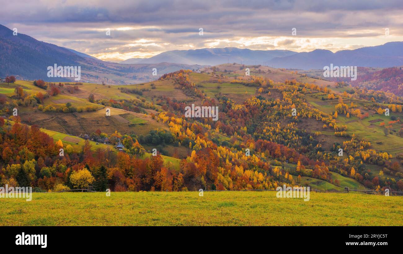 campagne des carpates en automne au lever du soleil. champs ruraux et colline boisée dans la lumière du matin. crête lointaine sous un ciel couvert Banque D'Images