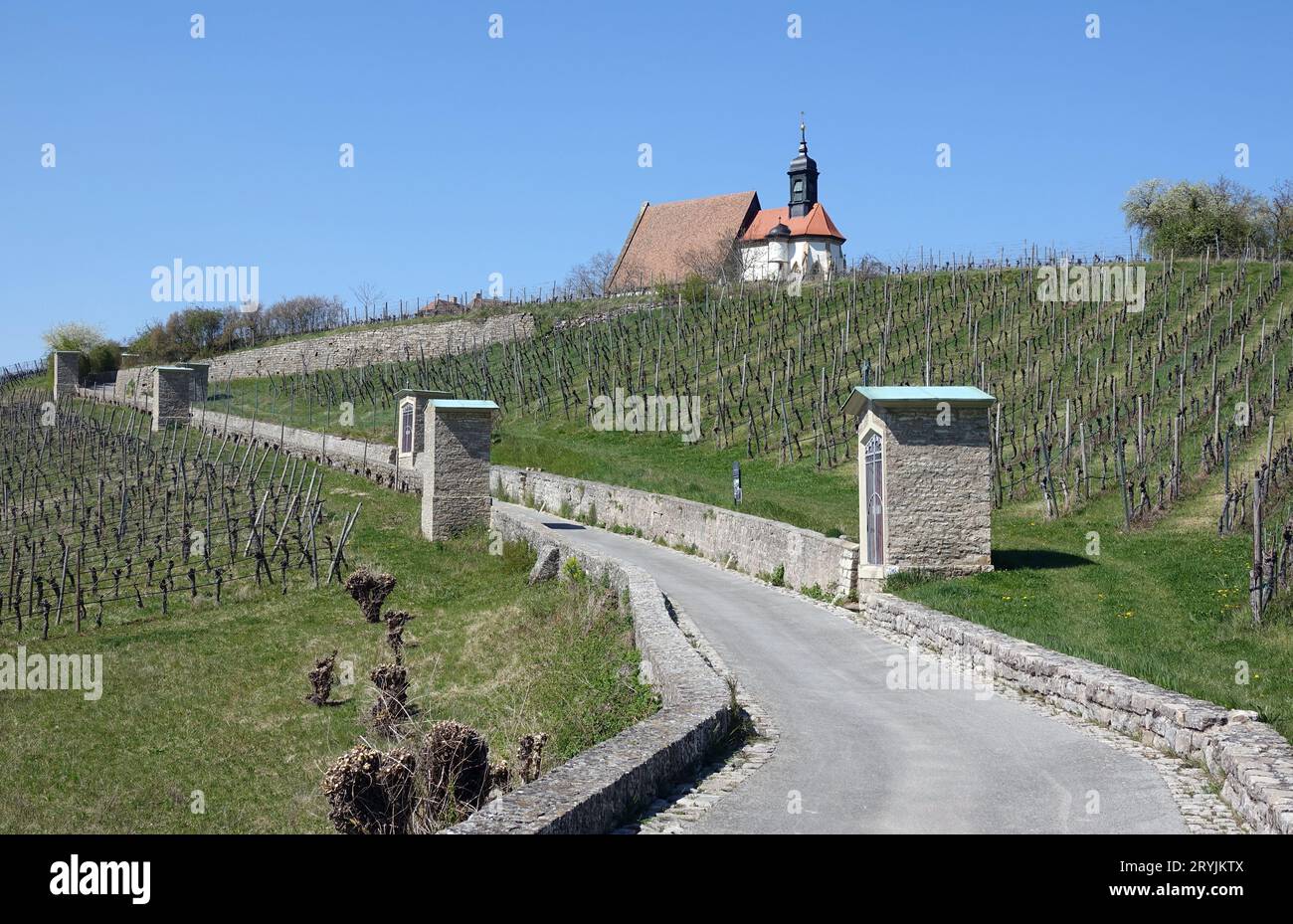 Maria dans le vignoble près de Volkach Banque D'Images