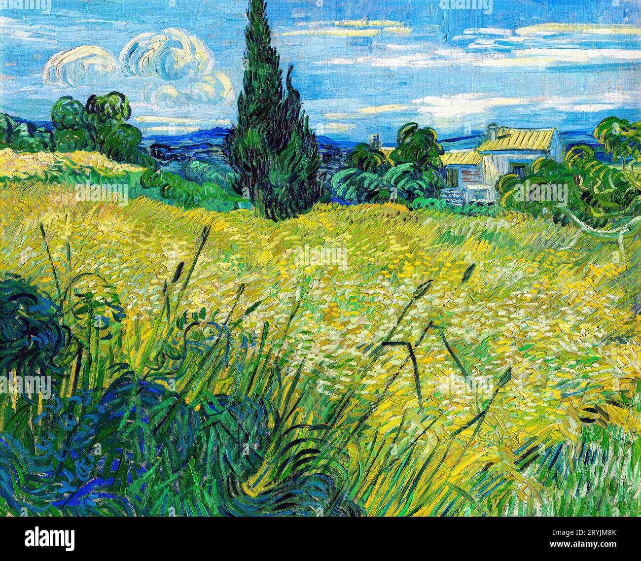 Champ de blé vert de Vincent van Gogh avec peinture de paysage célèbre Cyprès. Banque D'Images