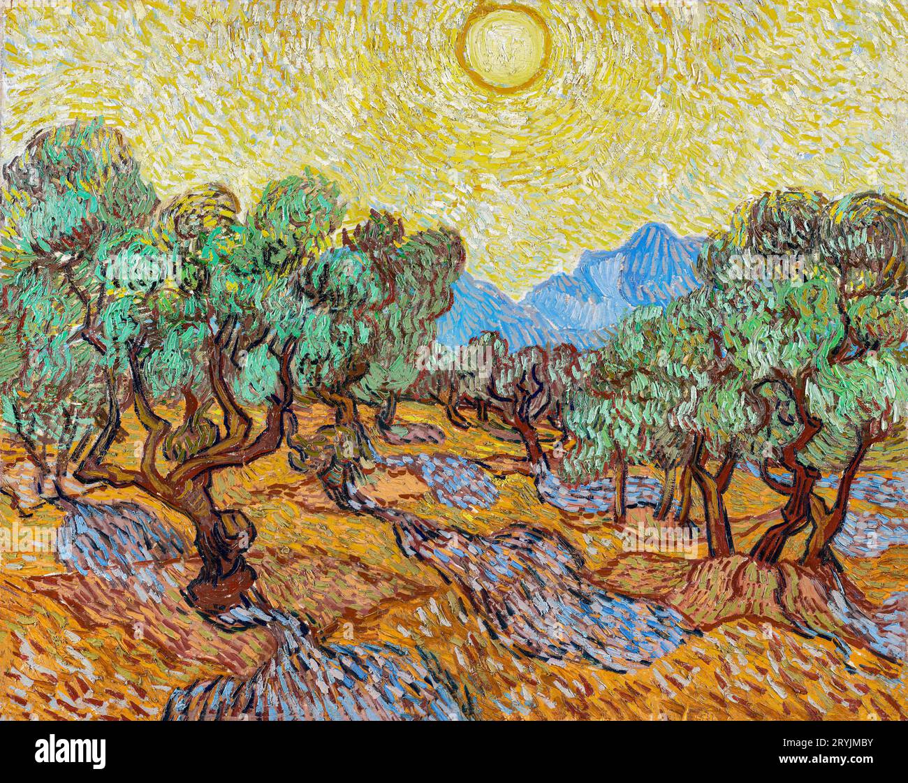 Vincent van Gogh's Olive Trees célèbre peinture de paysage. Banque D'Images