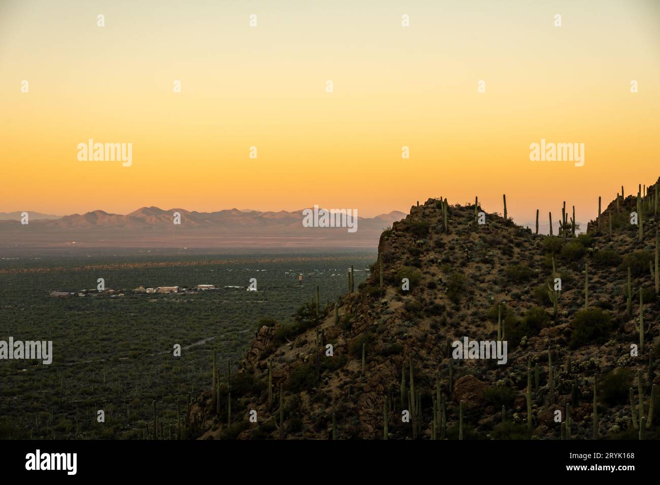 Côté falaise couvert de Saguaro Cactus vue sur Old Tucson Studios Banque D'Images