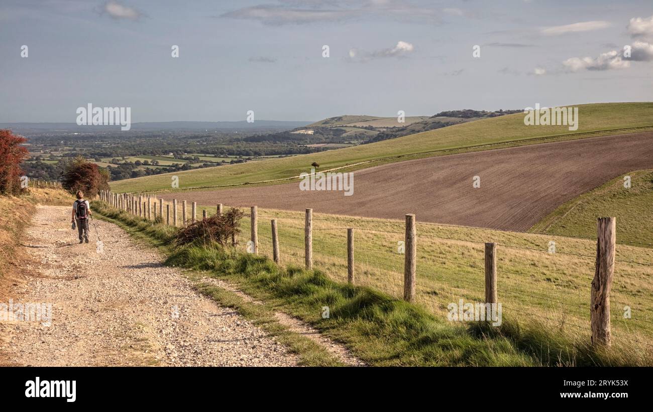 South Downs Way depuis Truleigh Hill Banque D'Images