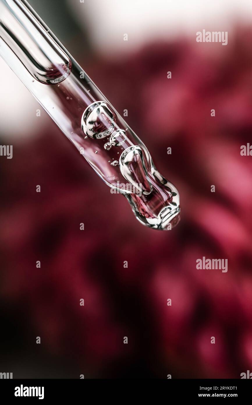 Une goutte d'huile cosmétique tombe de la pipette Banque D'Images