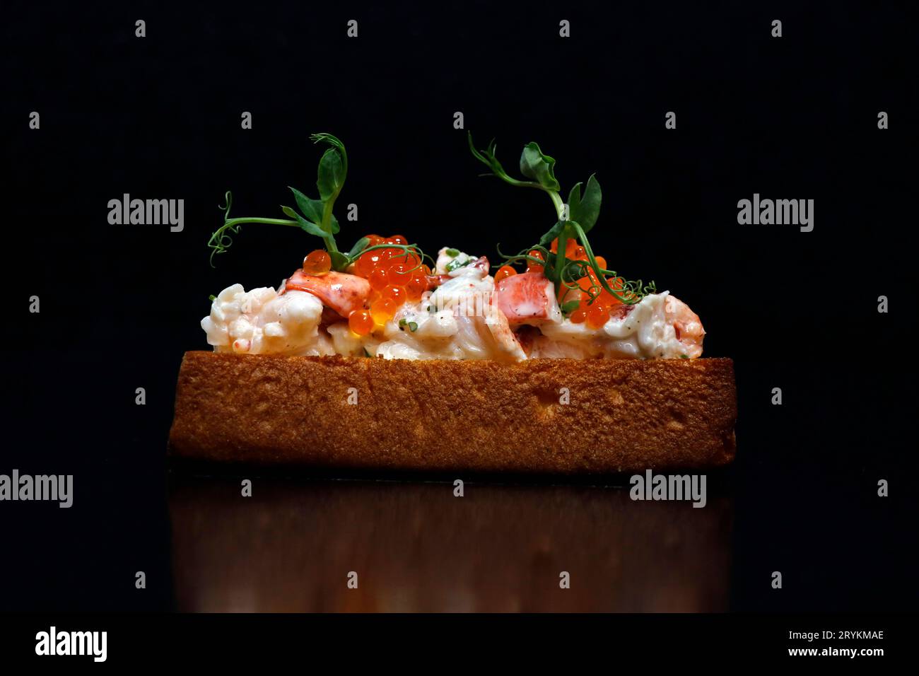 sandwich ouvert de rouleau de homard avec fond noir Banque D'Images