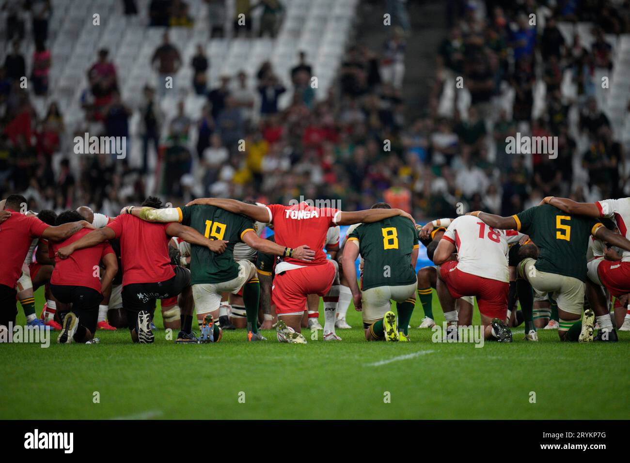 South Africa's players form a huddle at the end of Rugby World Cup Pool B match between South Africa and Tonga at the Marseille's Stade Velodrome, in Marseille, France Sunday, Oct. 1, 2023. (AP Photo/Daniel Cole) Banque D'Images