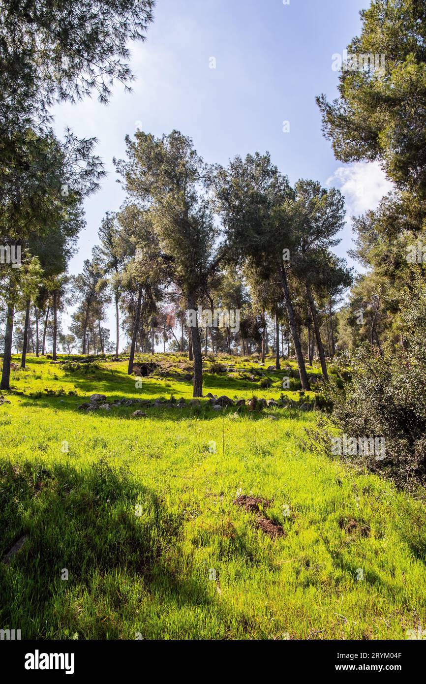 Monde vert printemps Banque D'Images