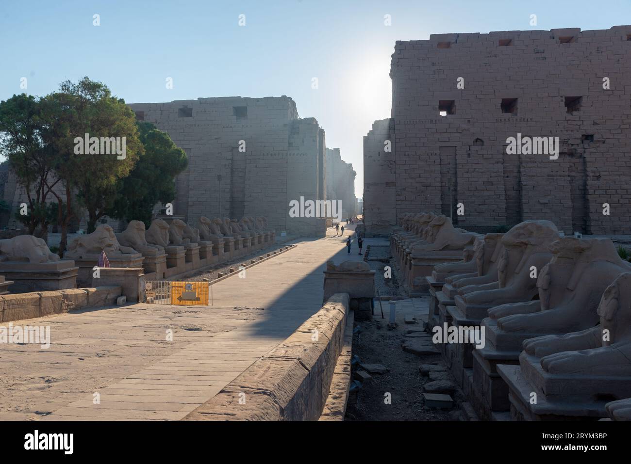 Entrée au temple de Karnak, Égypte Banque D'Images
