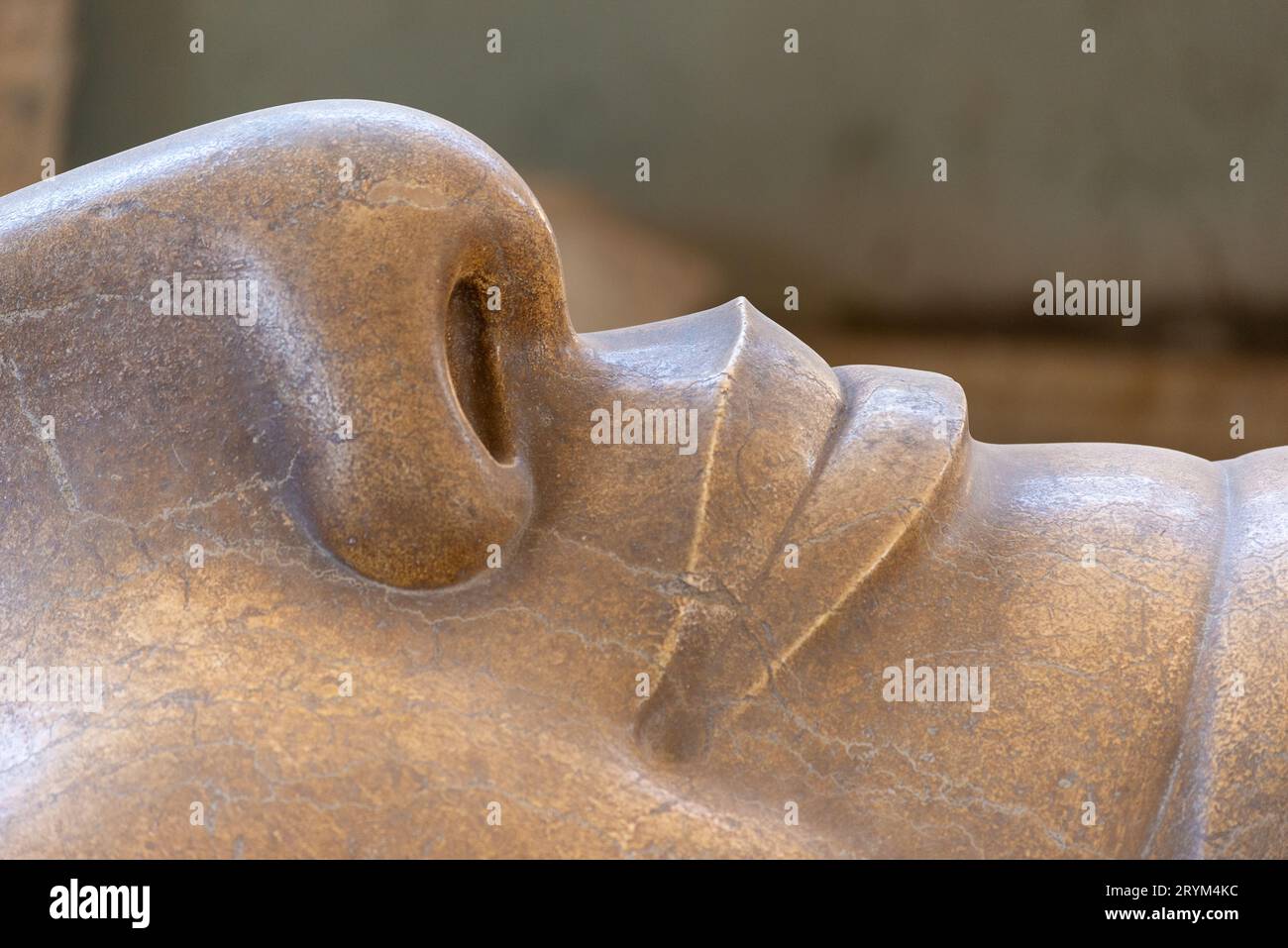 Détail du sourire de la statue colossale du pharaon Ramsès II au Musée de Memphis, près du Caire, Egypte Banque D'Images