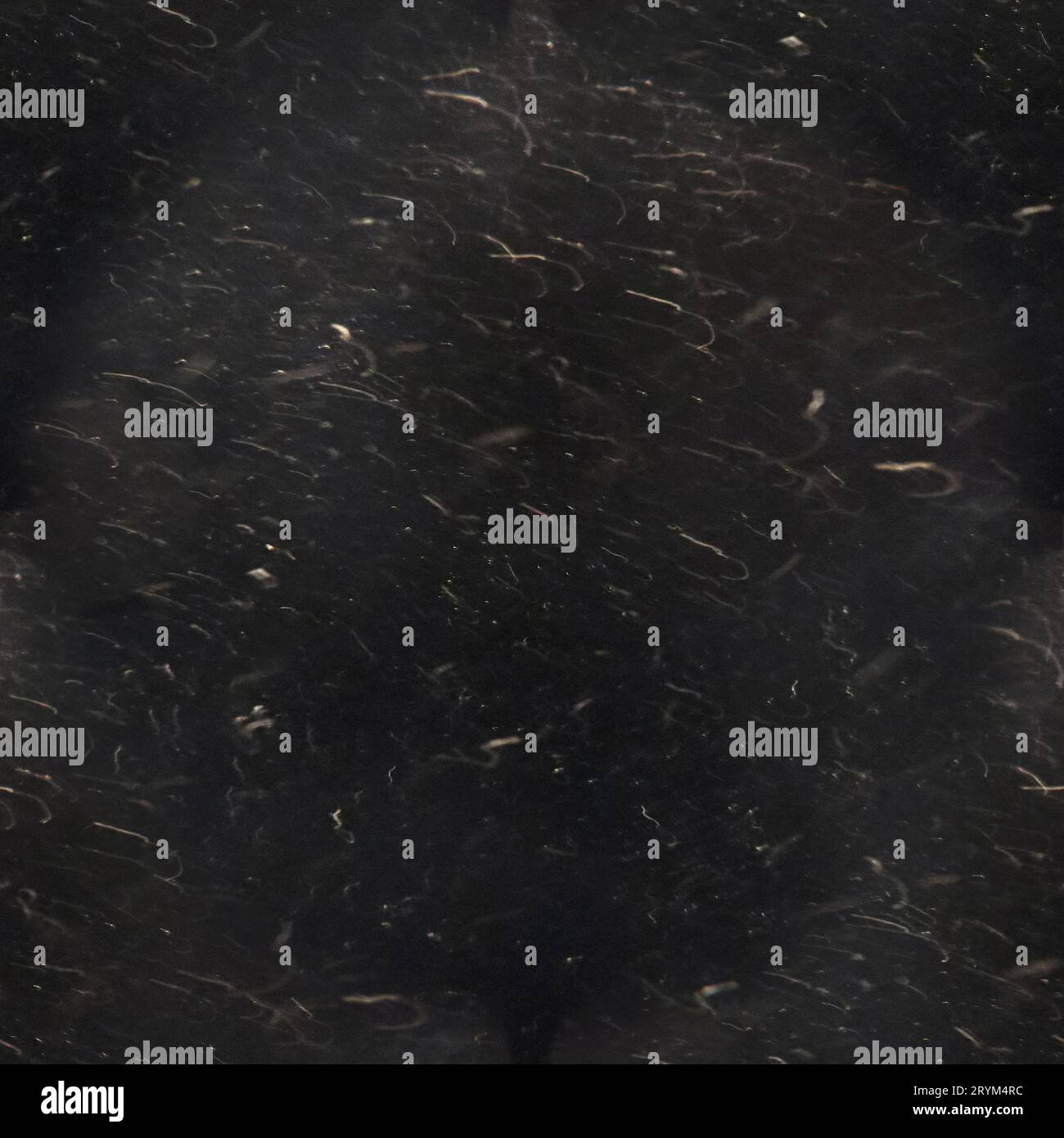 Conception anti-poussière et rayures. Calque de retouche photo vieilli. Fond abstrait grunge noir. Espace de copie. Banque D'Images