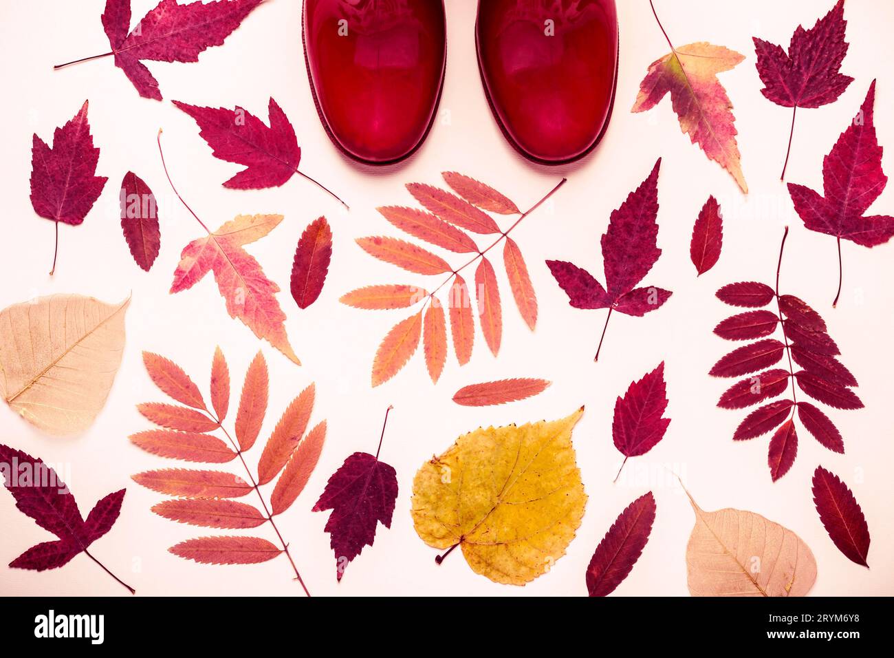 Feuilles d'automne multicolores et bottes en caoutchouc rouges. Fond d'automne Banque D'Images