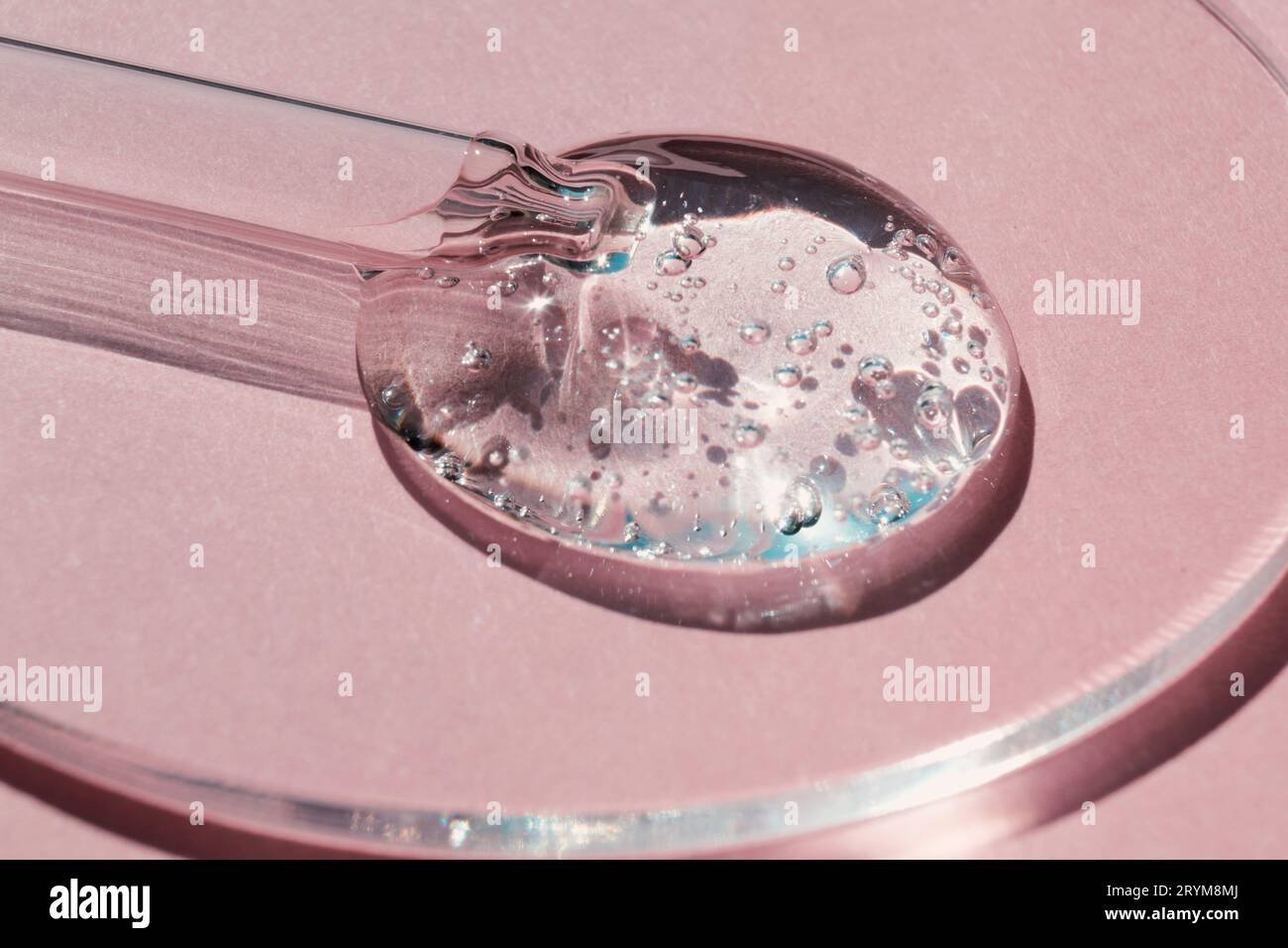 Pipeter avec un échantillon de gels de produit cosmétique dans une boîte de Pétri sur fond rose, ombres dures Banque D'Images