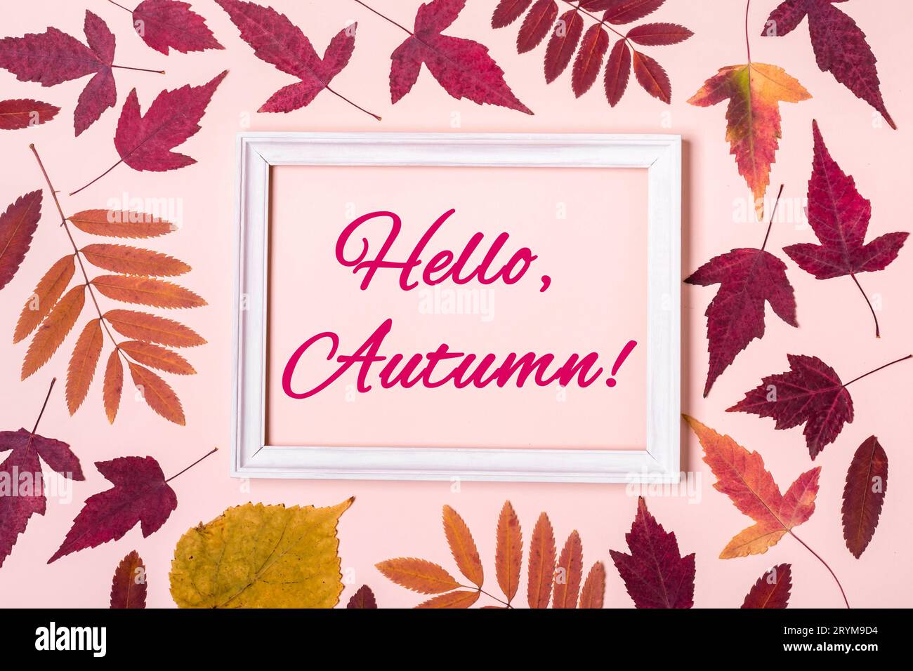 Cadre de feuilles d'automne multicolore. Bonjour, Autumn Words Banque D'Images