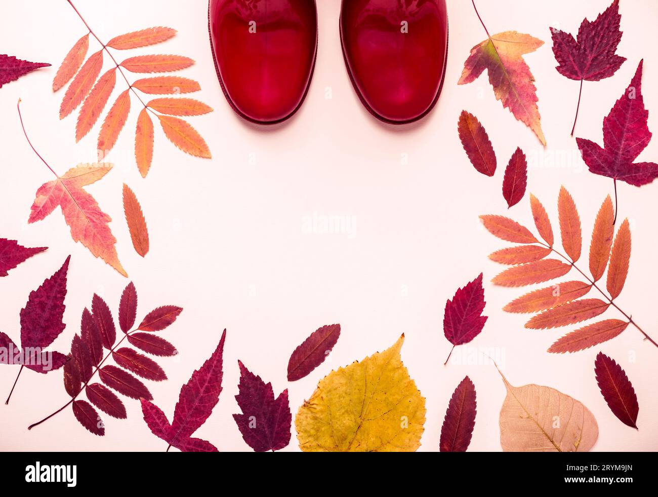 Cadre de feuilles d'automne multicolore et bottes en caoutchouc rouge. Bonjour, concept d'automne Banque D'Images