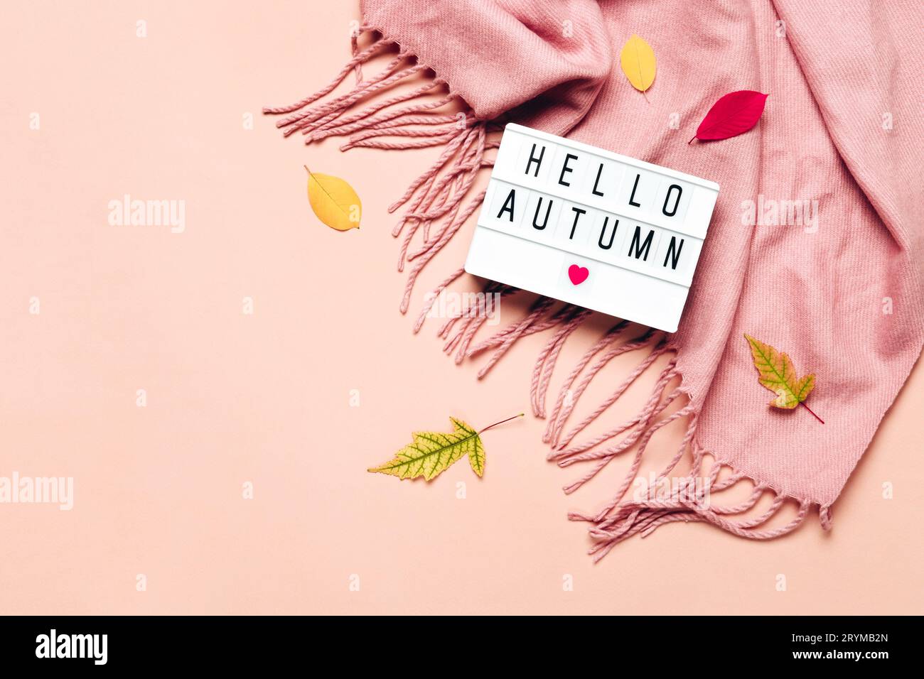 Visionneuse avec texte Hello Autumn sur fond pastel. Foulard drapé confortable et feuilles Banque D'Images