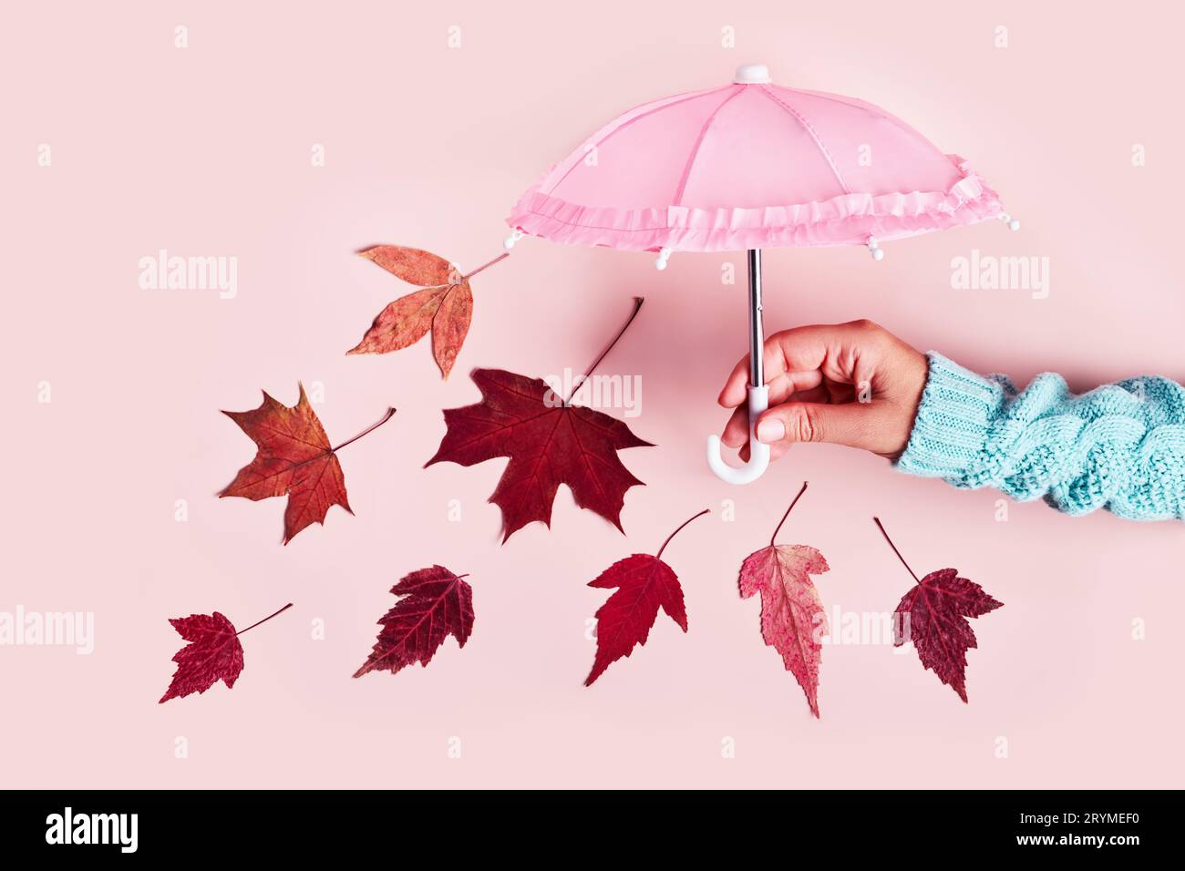 Main de femme avec parapluie rose et feuilles tombantes sur bannière pastel rose. Concept créatif Hello Autumn Banque D'Images
