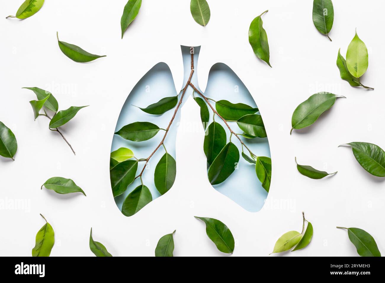 Poumons Blue Hole et brindilles vertes comme symbole de poumons sains. Journée mondiale de la tuberculose ou concept de Journée mondiale du poumon. Art papier minimal Banque D'Images