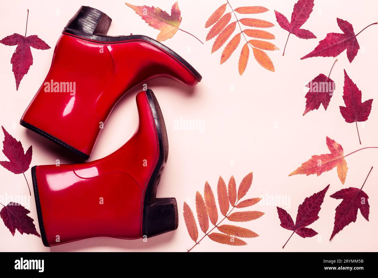 Bottes d'automne mode féminine en caoutchouc et feuilles sèches sur fond pastel Banque D'Images