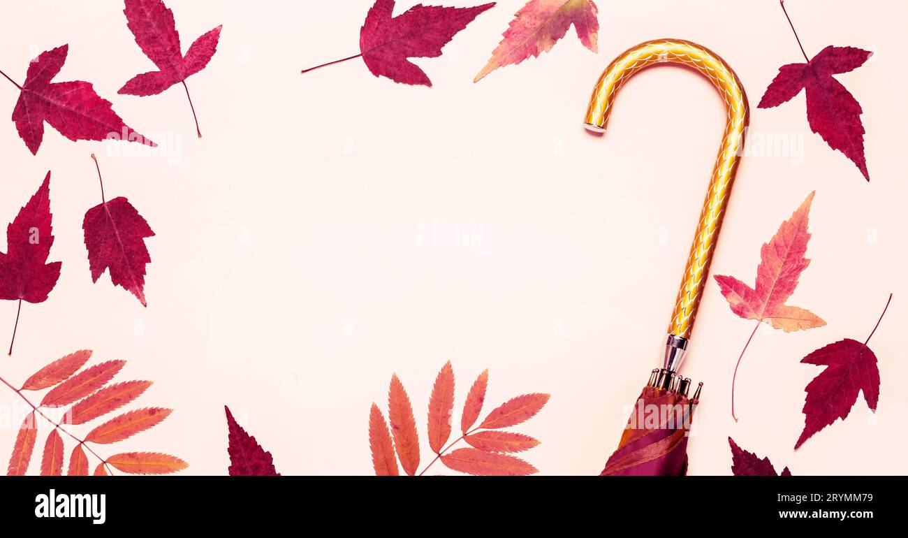 Parapluie doré d'automne de mode féminine et feuilles sèches sur fond de couleur pastel Banque D'Images