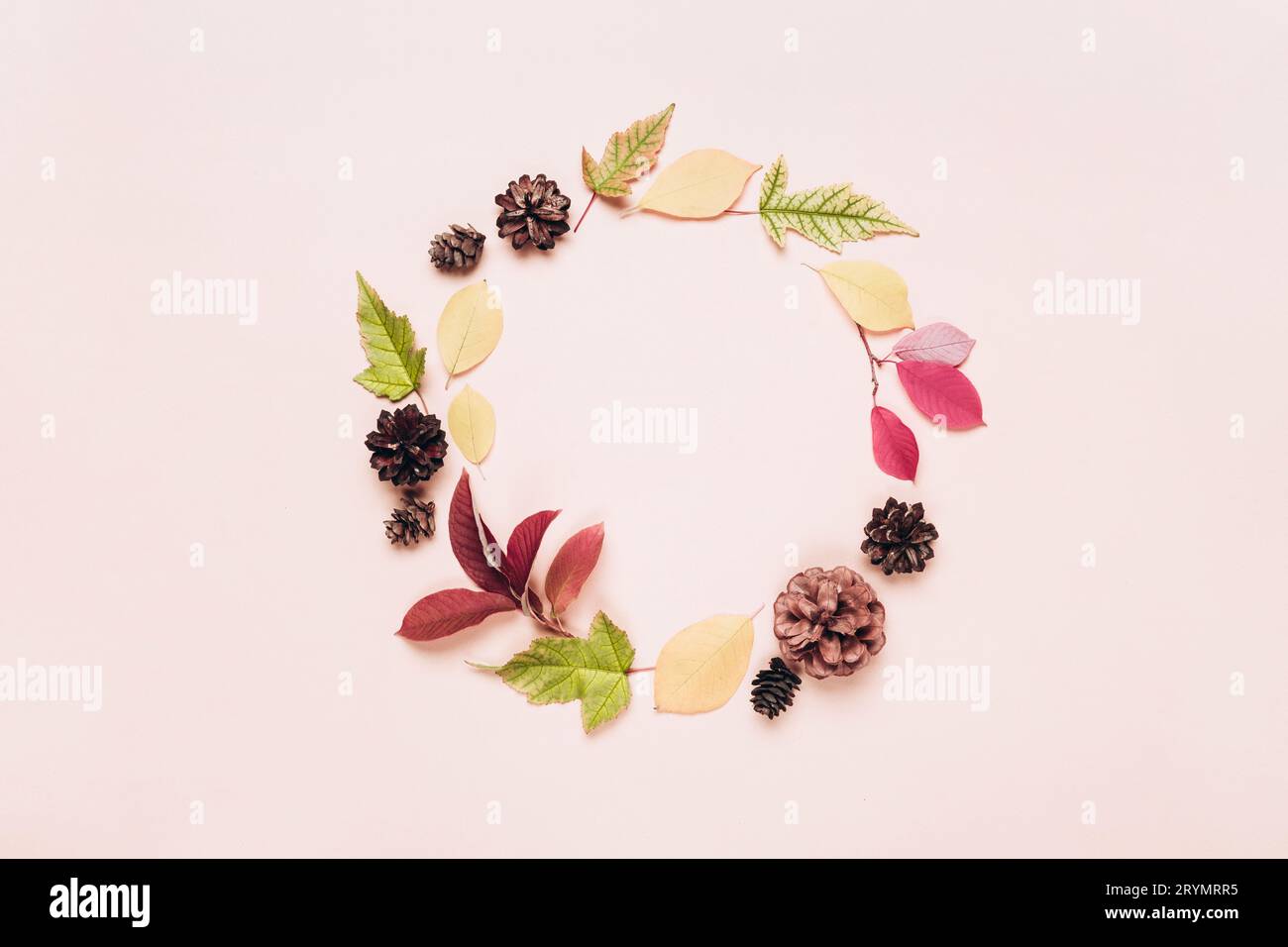Couronne d'automne de feuilles et de cônes colorés. Arrière-plan de l'accueil d'automne Banque D'Images