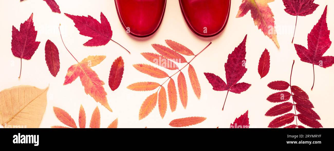 Feuilles d'automne multicolores et bottes en caoutchouc rouges. Fond d'automne Banque D'Images