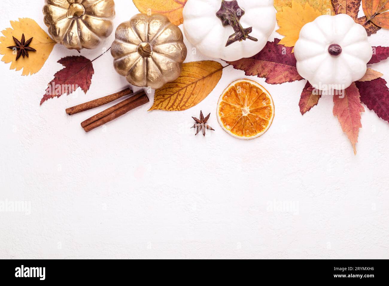 Feuilles colorées et citrouilles blanches. Hello Autumn concept Banque D'Images
