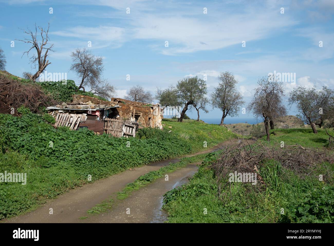 Abandon et effondrement de la ferme animale dans le champ. Endroits désertés Chypre Banque D'Images