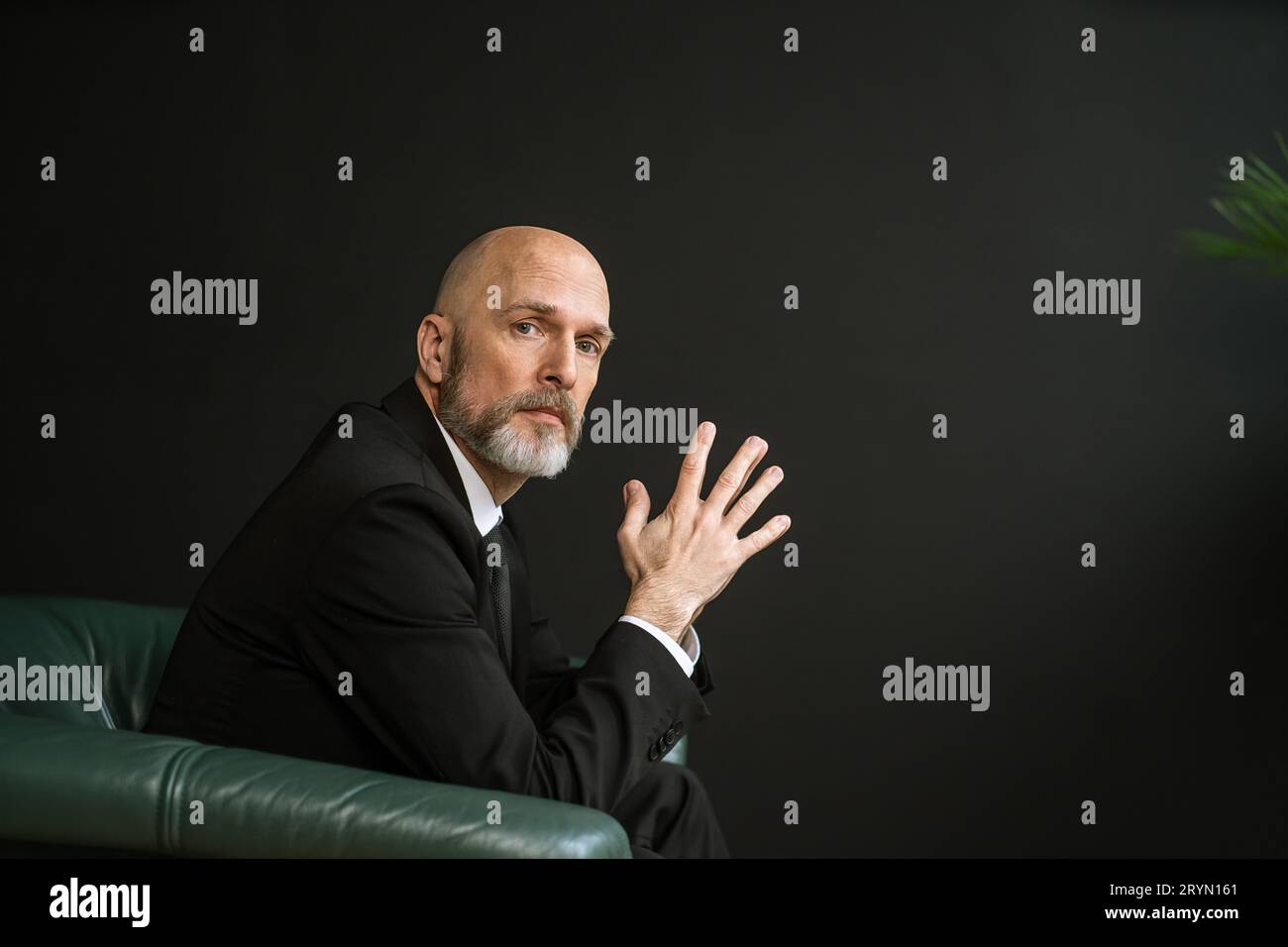 Homme d'affaires âgé solide et expérimenté à la barbe grise, il respire la confiance et le professionnalisme. Assis en cuir luxueux Banque D'Images