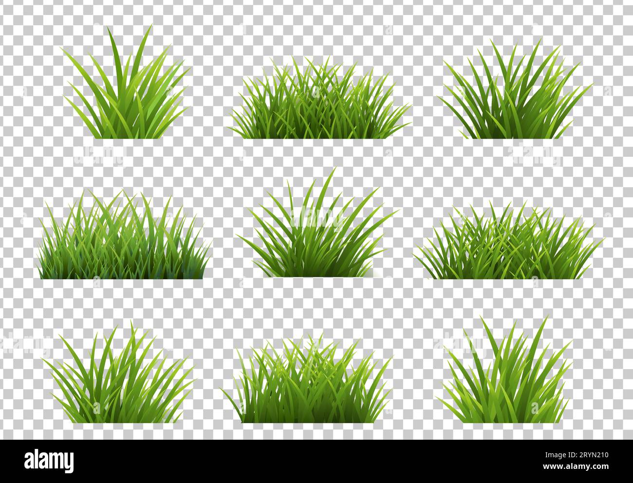 Fond transparent isolé d'herbe verte avec maillage dégradé, illustration vectorielle Illustration de Vecteur