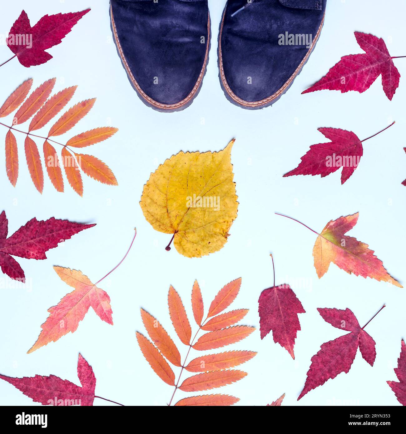 Cadre de feuilles d'automne multicolores et bottes en daim. Bonjour, concept d'automne Banque D'Images