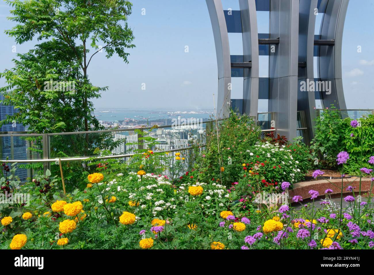 Jardinage urbain sur le toit du capita Spring Building, Singapour Banque D'Images