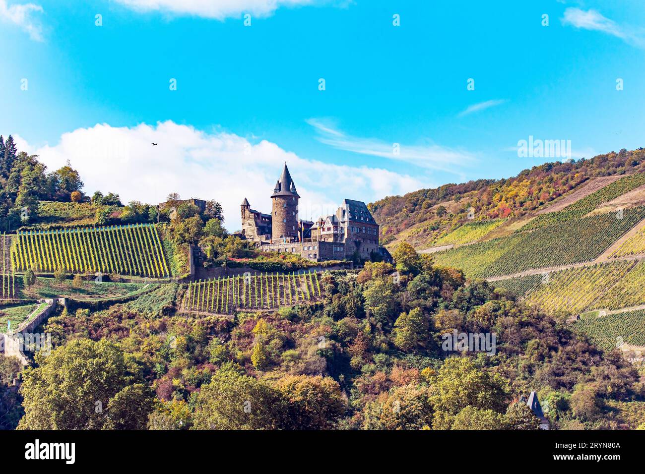 Château de chevalier médiéval Stahleck Banque D'Images