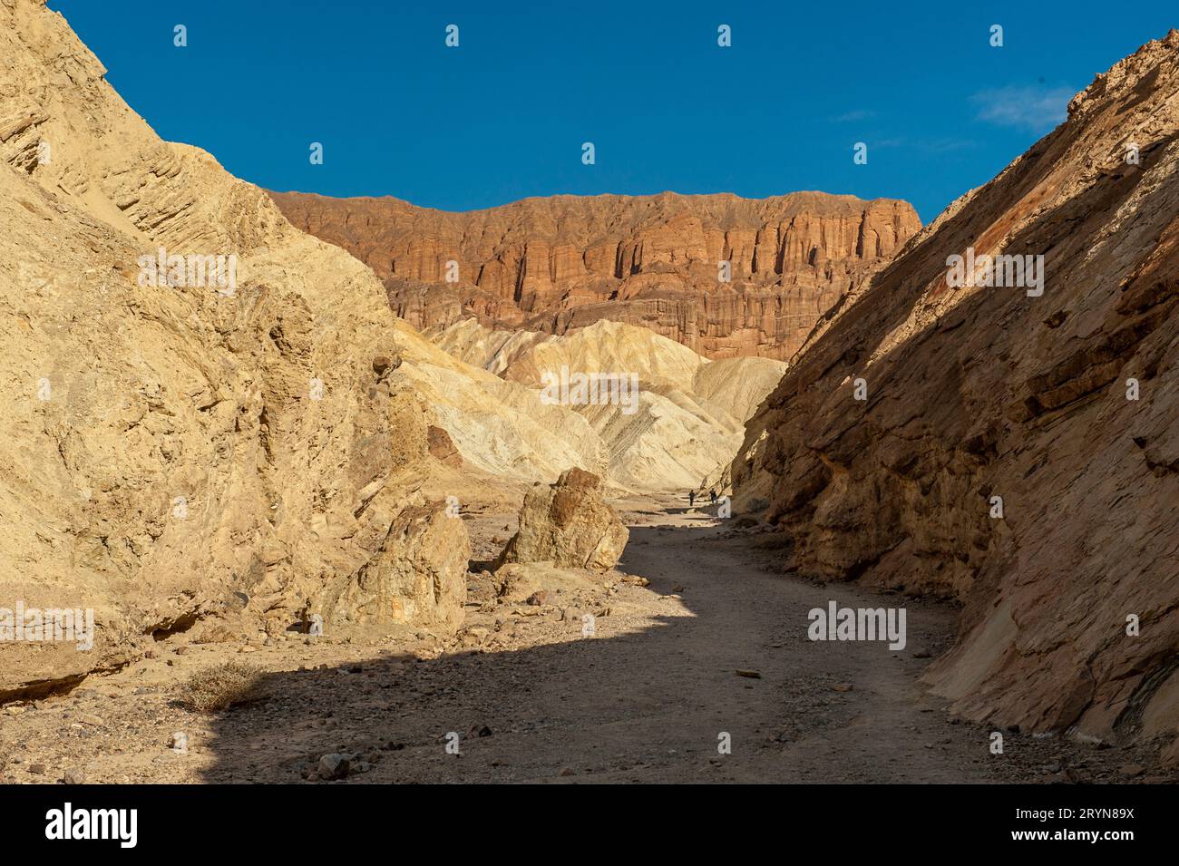 Randonneurs sur le sentier du Golden Canyon dans le parc national de Death Valley, en Californie, à 36 mètres sous le niveau de la mer. La falaise rouge est connue sous le nom de Cathédrale Rouge. Banque D'Images