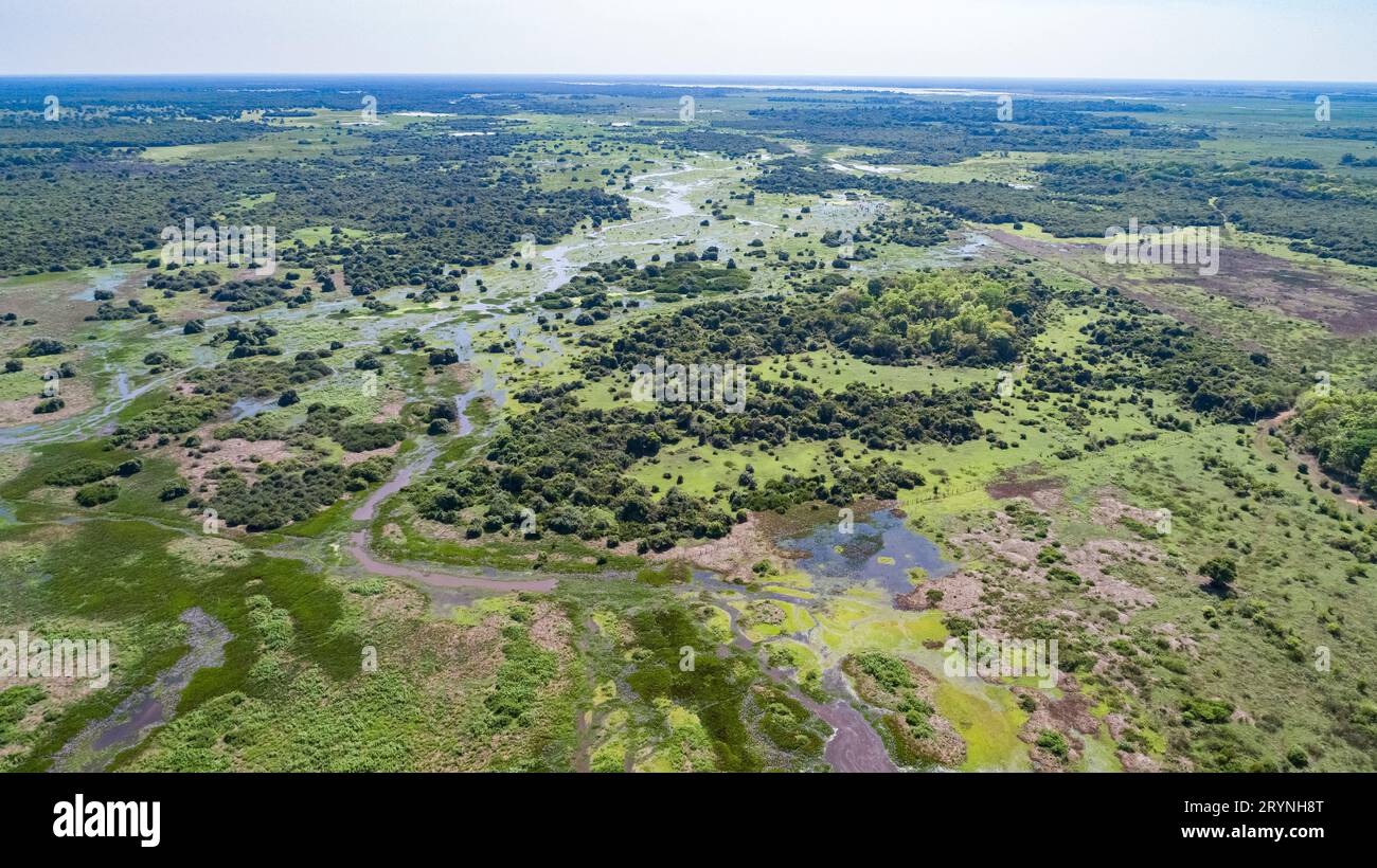 Vue aérienne du paysage typique des zones humides du Pantanal avec des lagunes, des forêts, des prairies, des rivières, des champs Banque D'Images