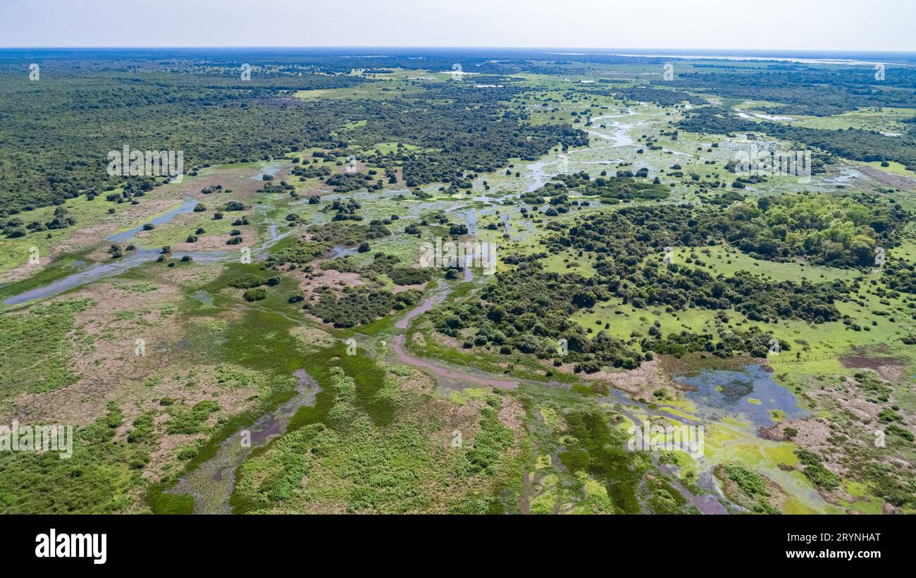 Vue aérienne du paysage typique des zones humides du Pantanal avec des lagunes, des forêts, des prairies, des rivières, des champs Banque D'Images