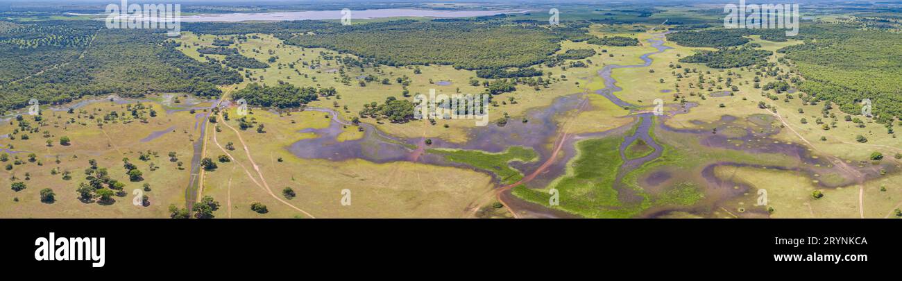Panorama aérien du paysage typique des zones humides du Pantanal avec lagunes, rivières, prairies et forêts, Ma Banque D'Images