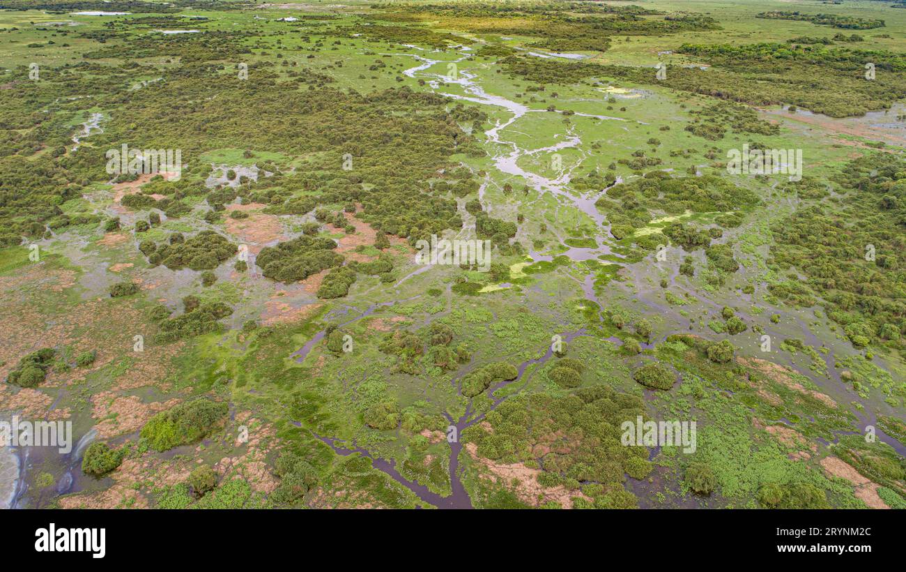 Vue aérienne du paysage typique des zones humides du Pantanal avec lagunes, forêts, prairies, rivière, Mato Gross Banque D'Images