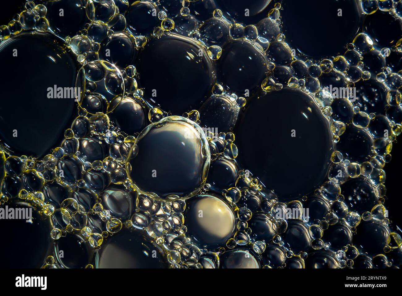 Macrophoto de gouttelettes d'huile et de bulles sur une surface d'eau Banque D'Images