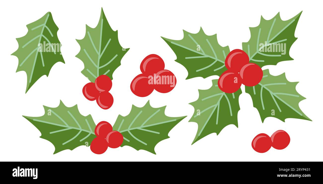 Ensemble d'éléments vectoriels Holly Berry Christmas. Décoration de saison plate, plantes d'hiver fruits. Illustration de vacances isolé sur blanc pour carte postale dans le panier Illustration de Vecteur