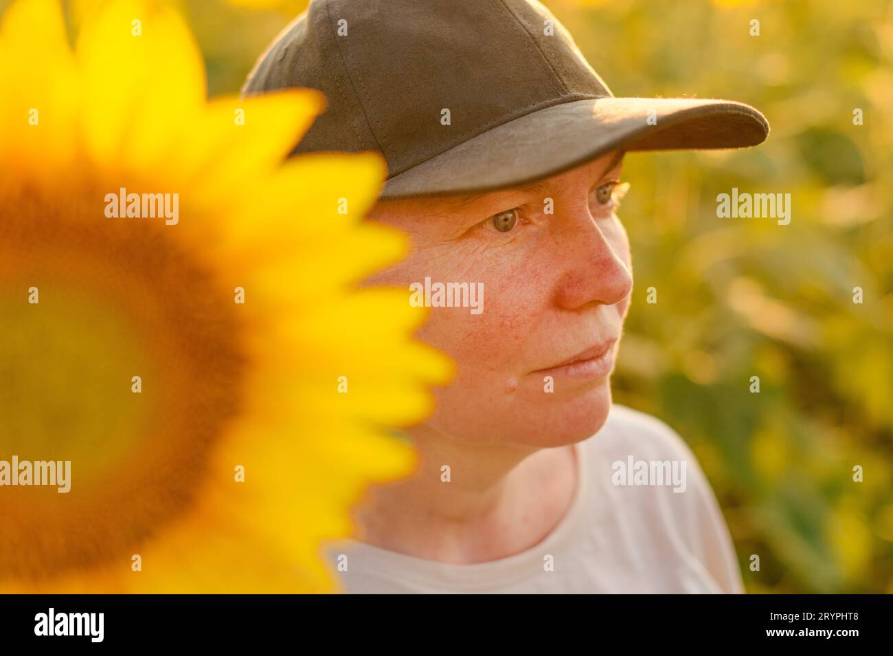 Femme ouvrière agricole avec chapeau de camionneur dans le champ de tournesol en fleurs. Agriculture et concept agricole. Mise au point sélective. Banque D'Images