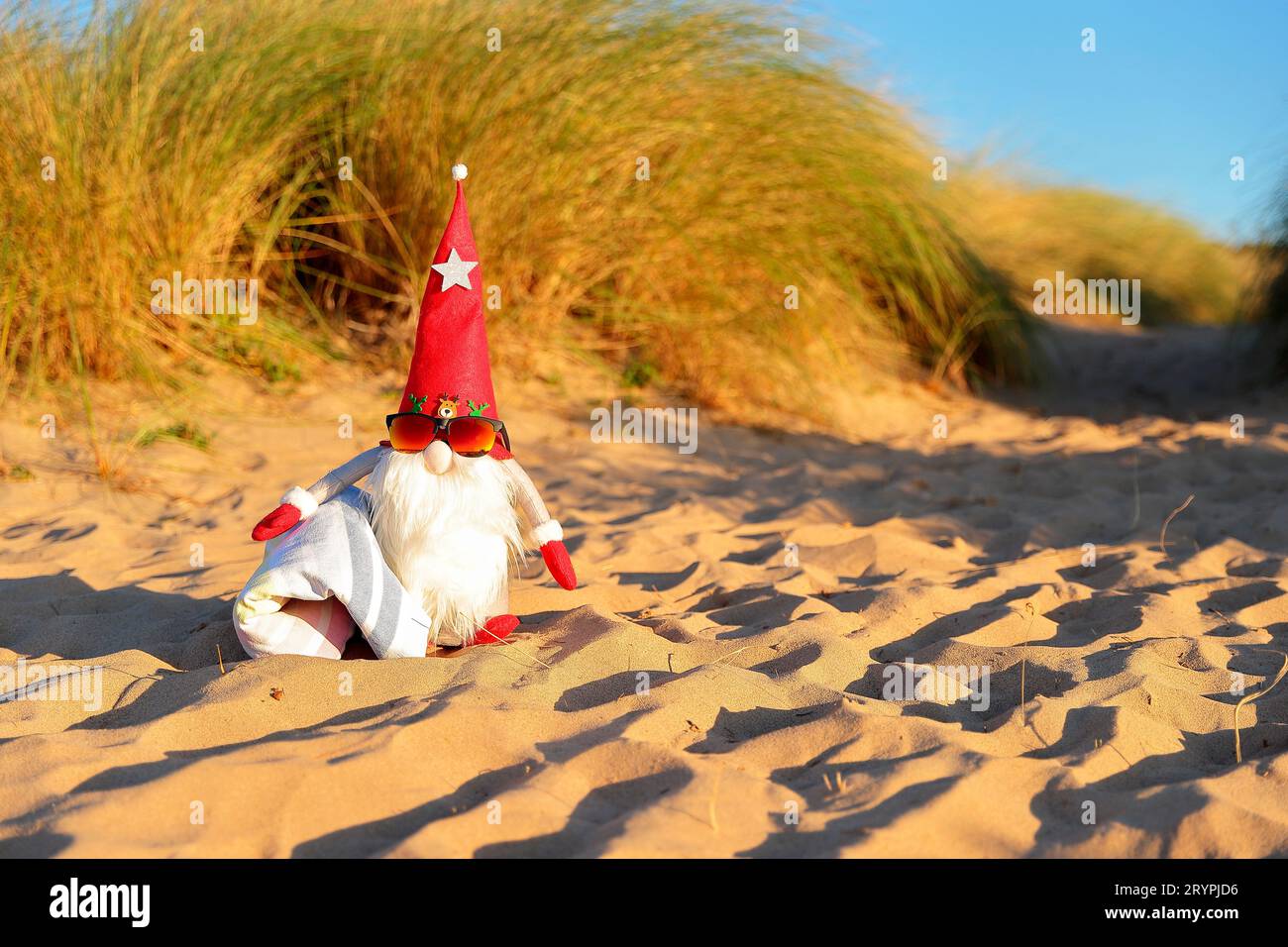 Gnome de Noël arrivant à la plage avec sa serviette pour profiter d'une journée de repos, fond de sable et de végétation légèrement floue. Concept de vacat Banque D'Images