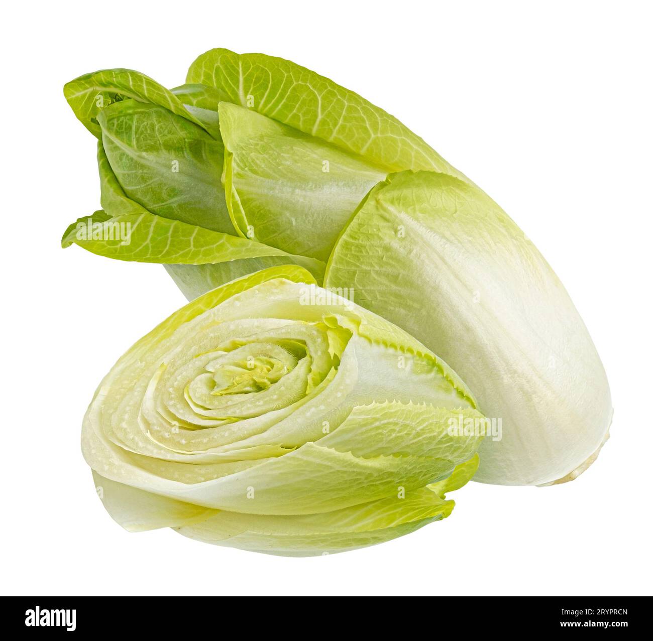 Salade de chicorée verte, endive fraîche, isolée sur fond blanc Banque D'Images
