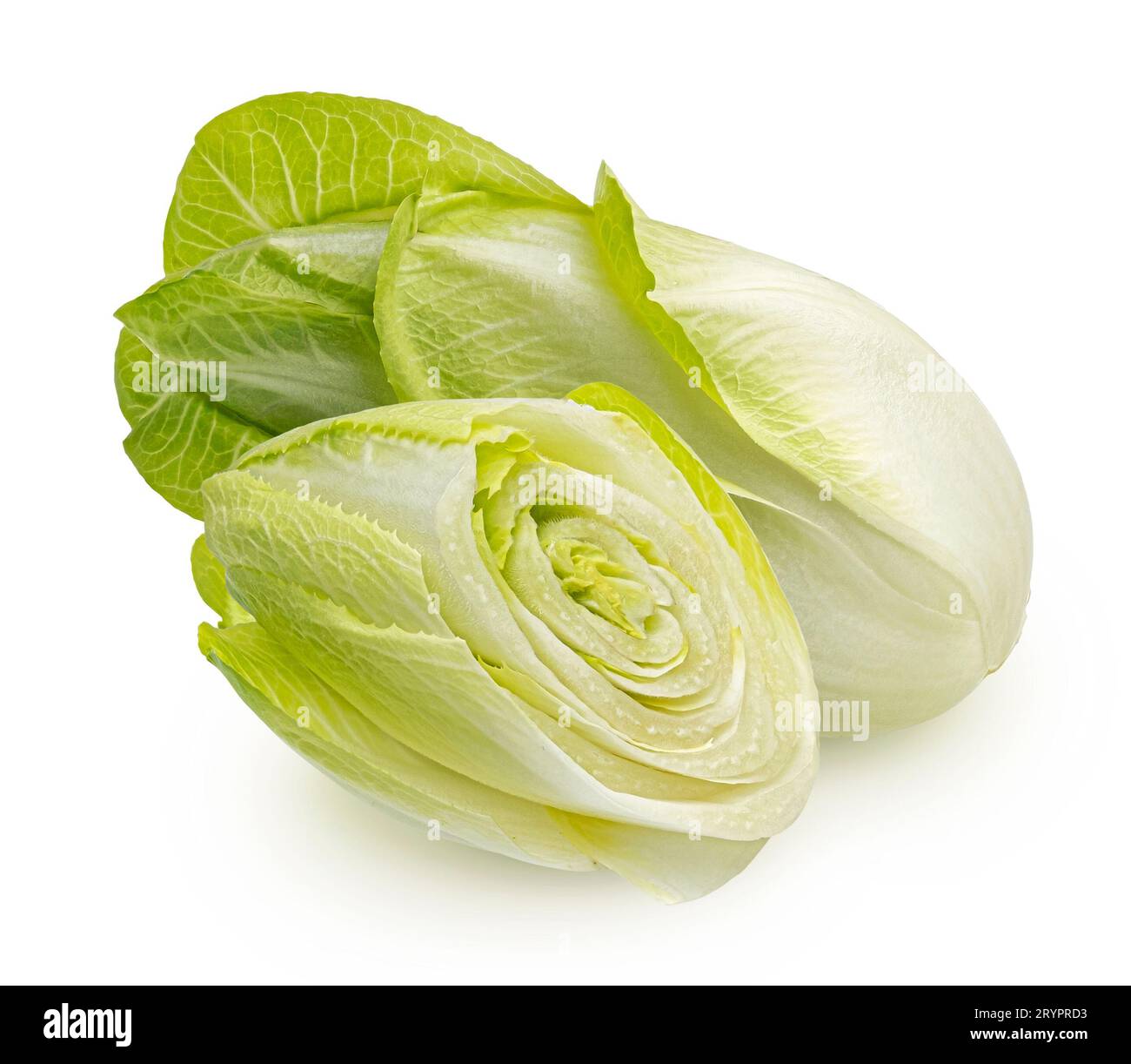 Salade de chicorée verte, endive fraîche, isolée sur fond blanc Banque D'Images